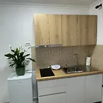 Апартаменты Meraki Center *