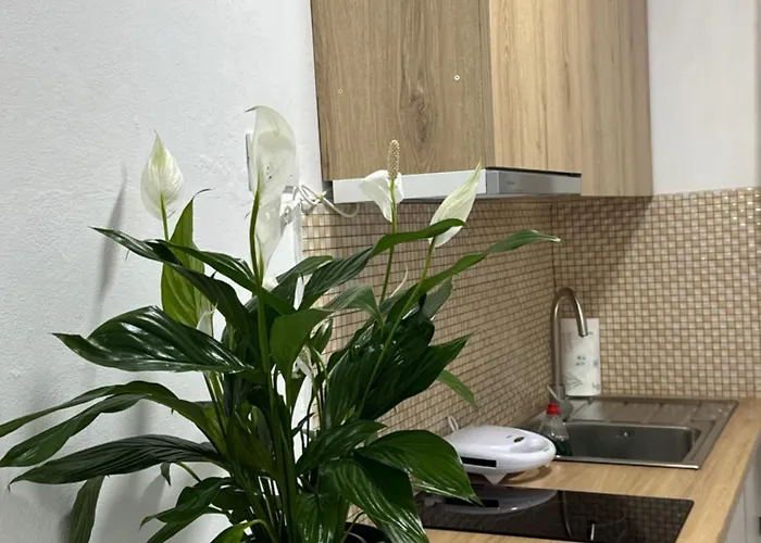 Meraki Center Tirana